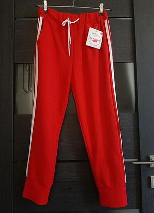 Спортивные штаны longhu s