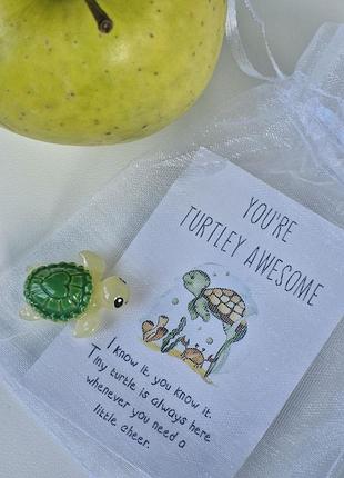 Черепашка 🐢