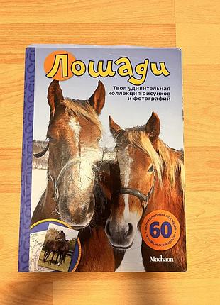 Журнал про лошадей с фото постерами