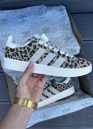 Кросівки adidas campus beige leopard