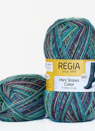 Regia color 100 г, 00500