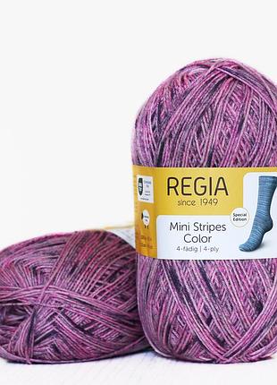 Regia color 100 г, 00480