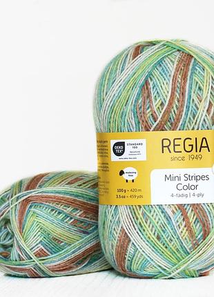 Regia color 100 г, 00473