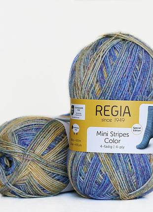 Regia color 100 г, 00368