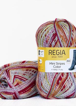 Regia color 100 г, 00482