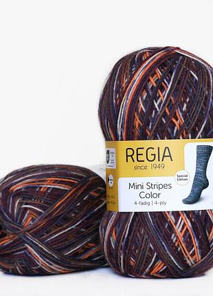 Regia color 100 г, 00424