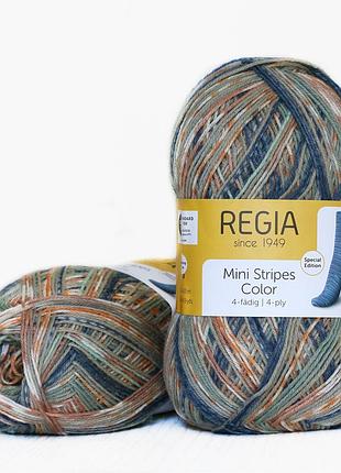 Regia color 100 г, 00471