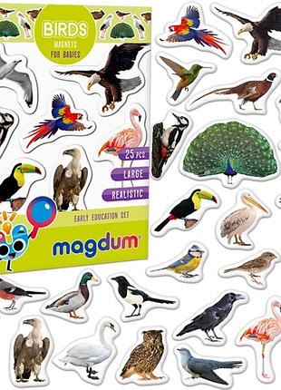 Детский набор магнитов птицы фото magdum ml4031-30 en