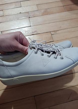 Кожаные кеды от ecco
