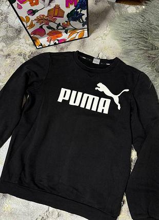 Теплий свіншот  puma