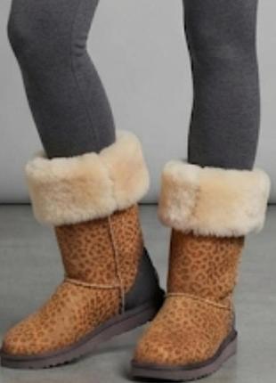 Чоботи ugg ,угі.