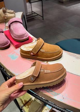 Сабо goldenstar evelina ugg