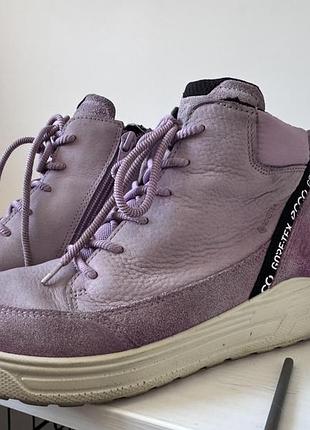 Черевики ecco