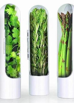 Контейнер органайзер для хранения зелени 25*9,5 см в холодильник herb saver hz-11 для овощей