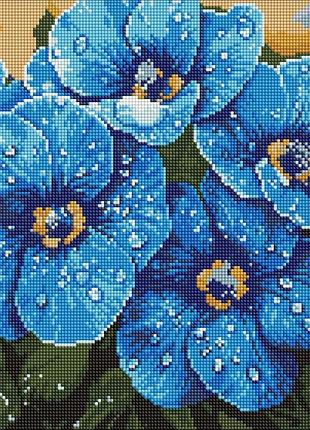 Алмазная мозаика "фиалки в росе" ©art_selena_ua amo8228, 40х40 см
