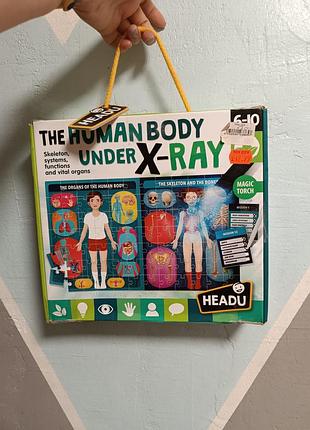 Освітній набір анатомічні пазли «людське тіло під рентгеном»  headu the human body under x-ray для дітей віком від 6 до 10 років.