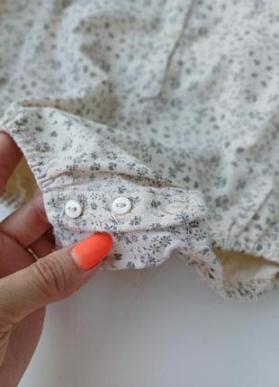 Бодик боди zara 5