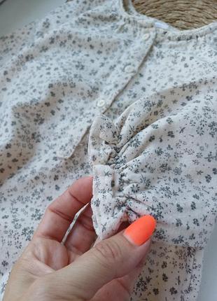Бодик боди zara 6
