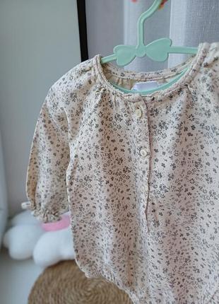 Бодик боди zara 2