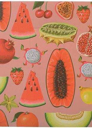 Набор 12 сервировочных салфеток 28x30см подтаречники fruits, полипропилен