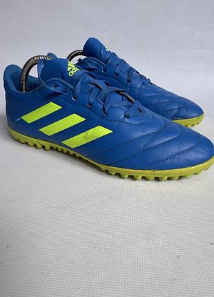 Сороконіжки adidas