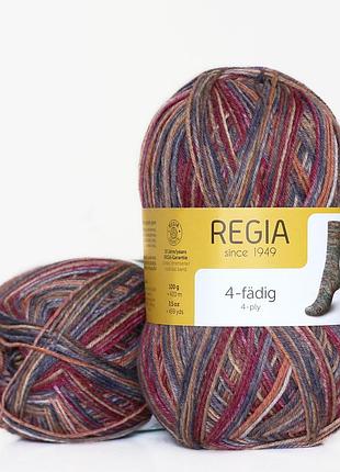 Шкарпеткова пряжа regia color 100 г, 00417