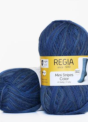Regia color 100 г, 00406