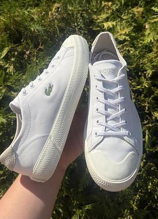 Кеди lacoste 39,5р(25см)