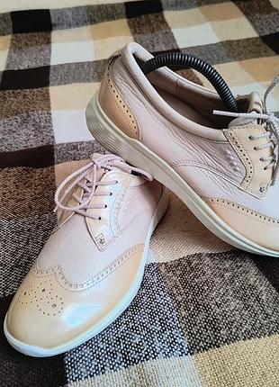 Кросівки ecco hydromax