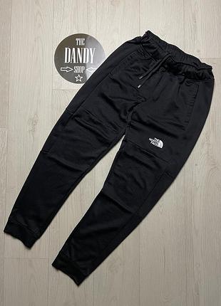 Мужские спортивные штаны the north face, размер xs-s