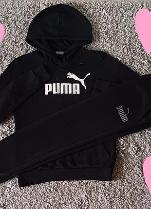 Худи толстовка  и штаны джоггеры  puma