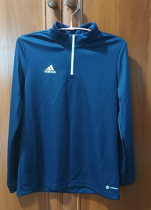 Спортивна кофта для підлітка adidas aeroready, синя, 13-14 років