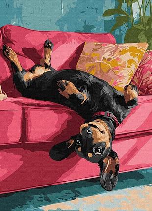 Картина за номерами "диванна радість" ©art_selena_ua kho6853, 40х50 см