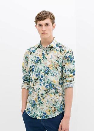 Шикарна бавовняна чоловіча сорочка zara