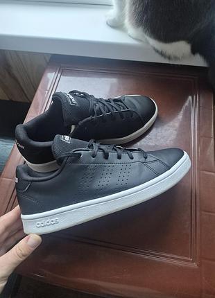 Кеди, кеды adidas