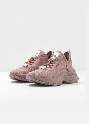 Кроссовки steve madden кросівки