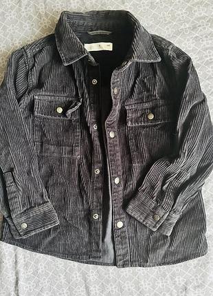 Вельветова сорочка ,жакет  zara 116
