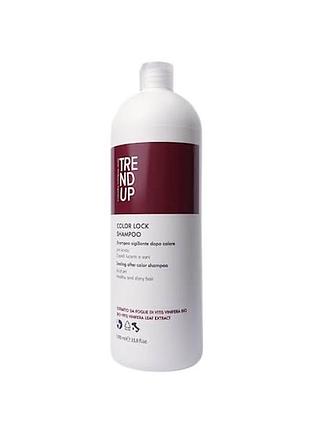 Trend up shampoo color lock для фарбованого волосся