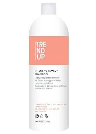 Shampoo відновлення intensive remedy