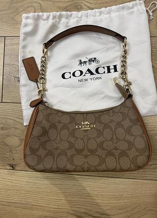 Coach teri оригінал
