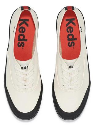 Жіночі парусинові кеди keds champion toe cap splash canvas