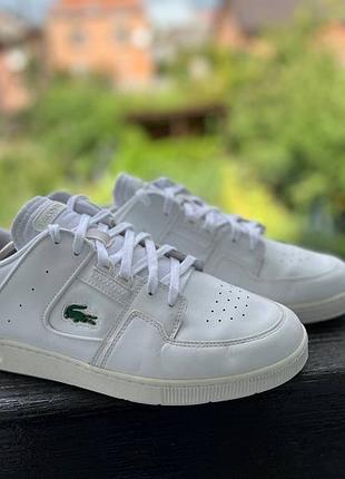Кросівки lacoste court cage