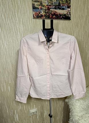 Базова бавовняна сорочка marks & spencer / m&s collection пудрово-рожевого кольору (розмір 16 / xl)