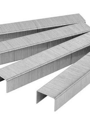 Скоба титул 8 x 0.7 x 11.3 мм (1000 шт.) (41-0108)