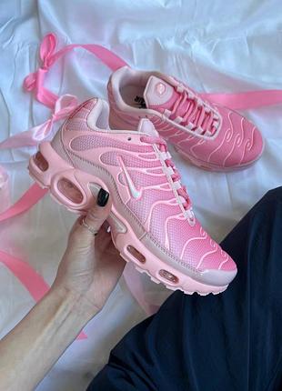 Nike air max tn plus pink