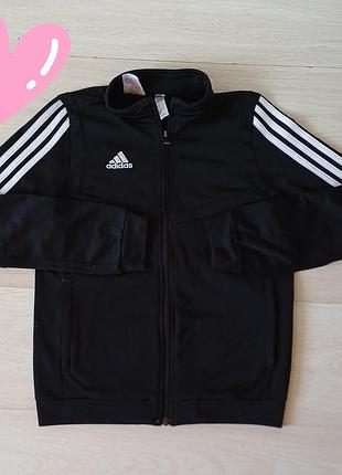 Спортивная кофта  adidas