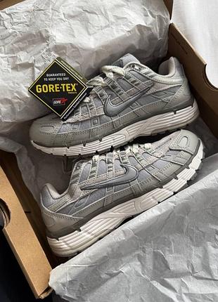 Nike p-6000 grey gore-tex
