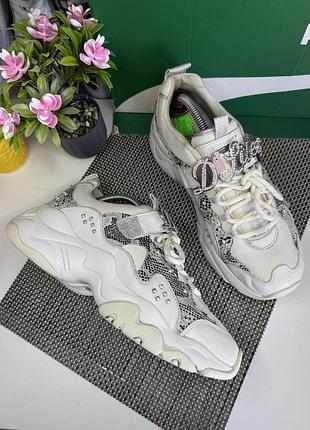 Оригінальні кросівки skechers
