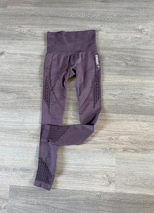 Лосини gymshark