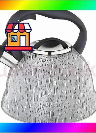 Bs чайник із свистком best mix edenberg eb-1990 3л gray bas77/n